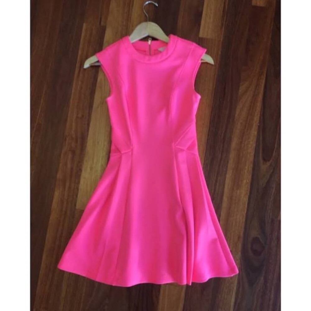 Ted Baker Dress (worn only once!)